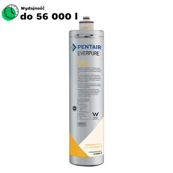 Everpure wkład 4FC