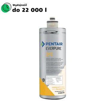 Everpure wkład 2FC