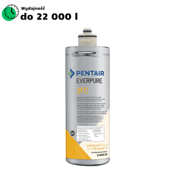 Everpure wkład 2FC